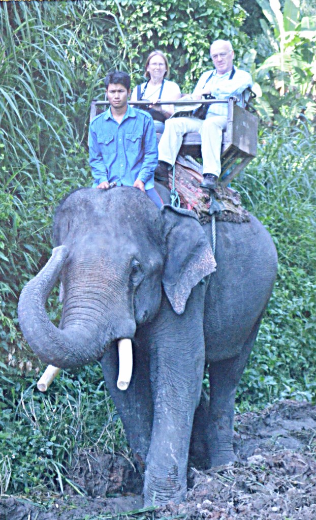 Judges Outside the Rink